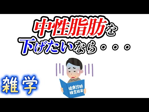 【雑学】中性脂肪に関する雑学