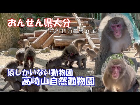 【ひろじぃの気まま旅】おんせん県大分１泊２日１万円旅　Part1 高崎山自然動物園