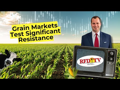 Grain Markets Test Significant Resistance