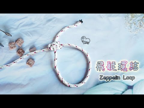 Zeppelin Loop - 飛艇環結 - 繩結 - 結び目 - 매듭