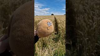 Pou fell far into the wheat field 😂💩 #pou #plushie #plushtoy