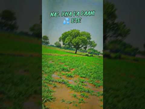 PINDAN DE JAAYE #farming #trendingshorts #youtubeshorts #viralvideo #shorts #viralshorts