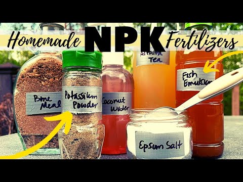 How to MAKE HOMEMADE FERTILIZER for  a VEGETABLE GARDEN | 6 DIY Plant Food Recipes