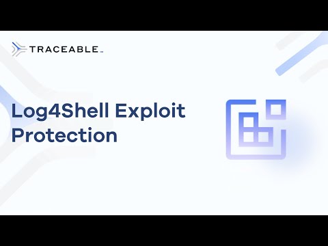 Log4shell Exploit Protection with Traceable AI