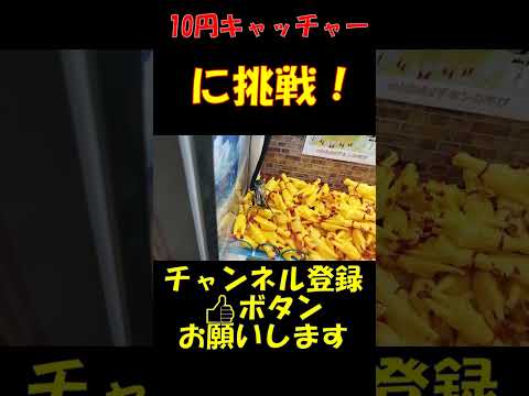 クレーンゲームって難しいネ。誰か取り方教えて