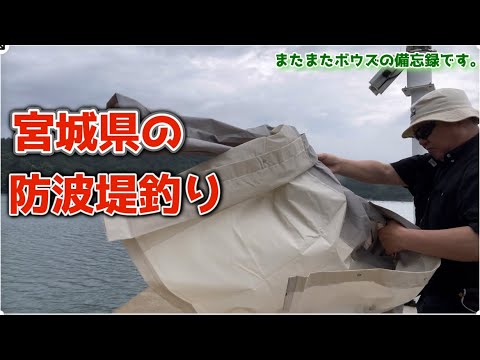 【宮城県の釣り】一ヶ月ぶりに行けたのに全然ダメダメでした。