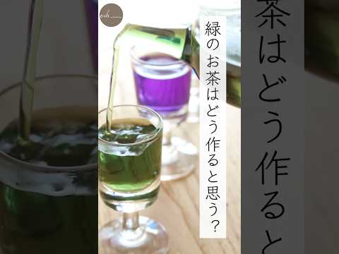 バタフライピーなのに緑🟢？　　　　　　のお茶！#shorts