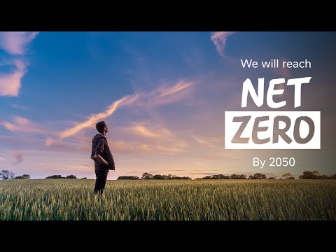 Nestlé’s Net Zero Roadmap