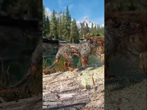 Skyrim’s Cut Magic