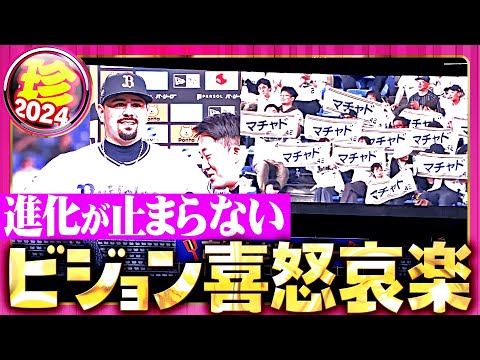 【止まらぬ進化】喜怒哀楽が詰まったビジョンにもプロの仕事【珍プレー】