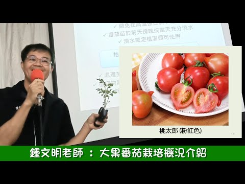 鍾文明老師大果番茄栽培概況介紹