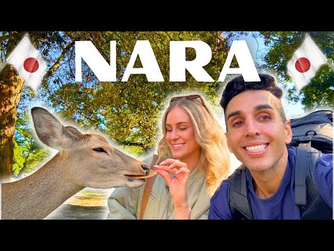 The PERFECT Day in NARA! - DEER, UDON & MOCHI 🇯🇵 JAPAN 🇯🇵