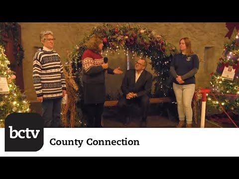 Gring's Mill Holiday Lights 2024 | County Connection with Commissioner Dante Santoni Jr.