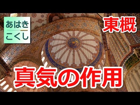 鍼灸 国家試験対策 過去問解説 東洋医学概論 気血津液 - 真気の作用 [あはきこくし]