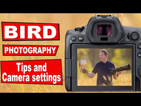 BIRD PHOTOGRAPHY TIPS & CAMERA SETTINGS - Capturing birds of prey in flight and in action.