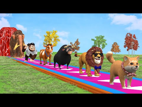 Paint & Animals Cow,Gorilla,Elephant,Lion,Tiger,Dinosaur, Fountain Crossing Transformation Cartoon