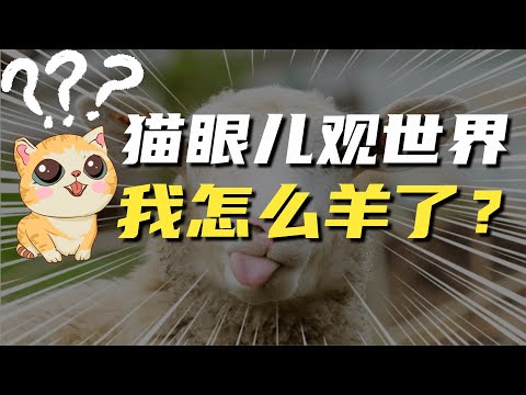 猫眼儿全家都阳了！亲身经历阳的各阶段症状，仅供参考，对症下药