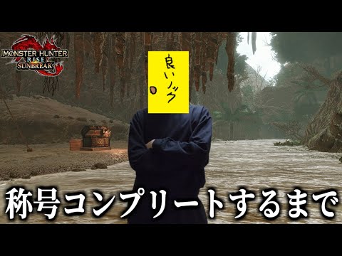 【やりこみ】称号コンプリートするまで終われません！！！【steam版/モンスターハンターライズサンブレイク】