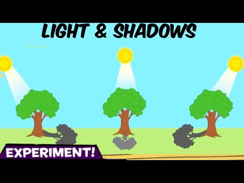 Light and Shadow Experiment - Science | DIY Videos | Cool Science Experiments for Kids #diy