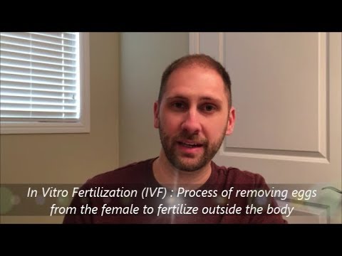 In Vitro Fertilization Update #2: She's PREGNANT!!