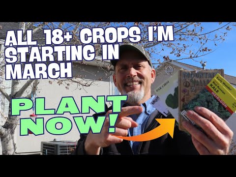 18 Veggies I am sowing NOW in Mid-March