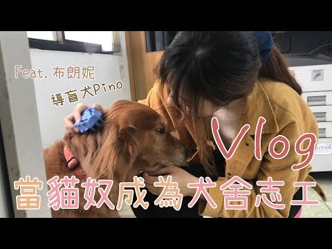 《Vlog》貓奴香菜成為犬舍志工！導盲犬脾氣怎麼會這麼好！｜貓與香菜番外篇 feat.布朗妮