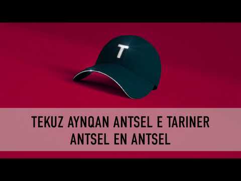 Tata Simonyan - Antsel en antsel  #KARAOKE