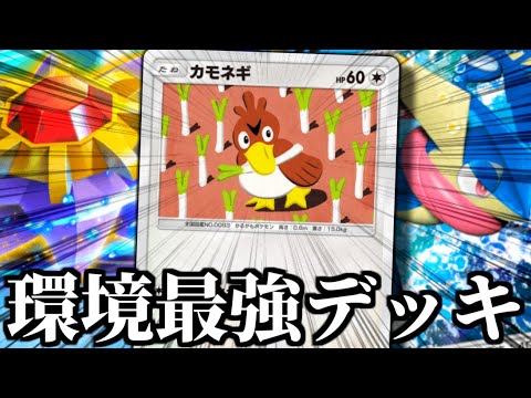 連勝余裕『カモネギ × ゲッコウガ』の環境最強デッキ。【ポケポケ】