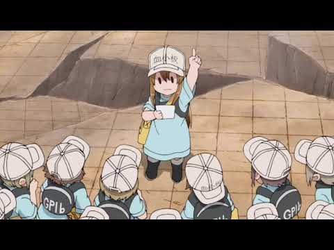 (remix kawaii)  the platelets cells at work   [no copyright]