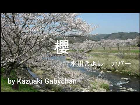 2012 櫻, 氷川きよし カバー "Sakura, Cherry Blossom" Kiyoshi Hikawa, Covered by Kazuaki Gabychan