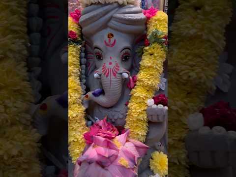 Celebrating the Divine Festival of Gowri Ganesha Chaturthi 2024 #ganeshchaturthi #ganesh #shorts