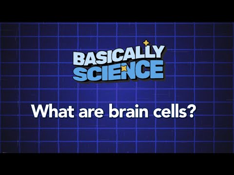 What are brain cells? | Basically Science