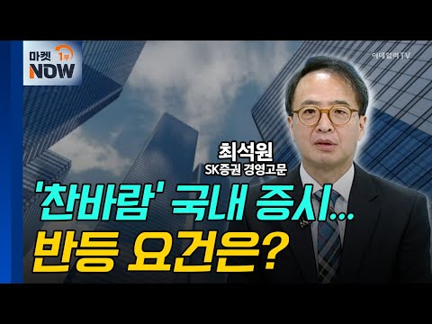 '찬바람' 국내 증시... 반등 요건은?/ 최석원 SK증권 경영고문 | Market Now (20241226)