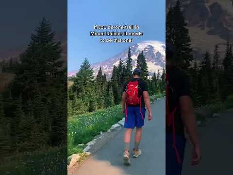 Must-Do Trails at Mt. Rainier National Park!