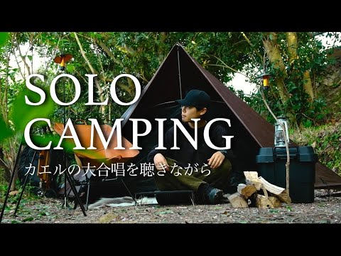 Overnight SOLO Camping near the Sea in Japan (bonfire, bushcraft, frog chorus)