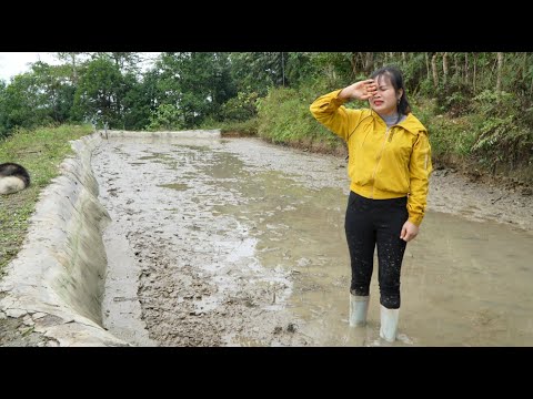 My fish pond was destroyed and stolen by bad guys. Clean and repair the garden