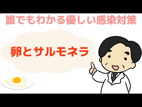 【卵とサルモネラ】卵の食中毒に要注意‼︎〜誰でもわかる優しい感染対策〜