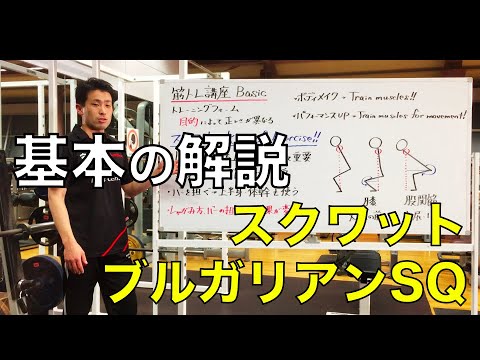 【脚トレーニング（解説）】スクワット&ブルガリアンSQを徹底解説！！