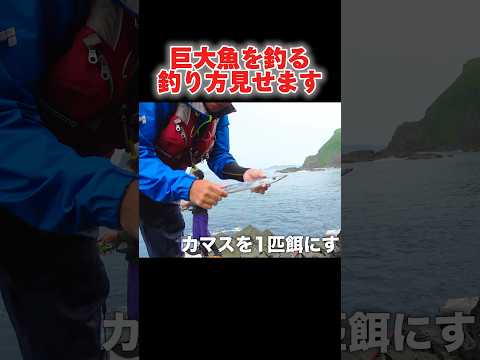 超巨大魚を釣る釣り方を教えます#釣り#沖縄#慶良間#fishing