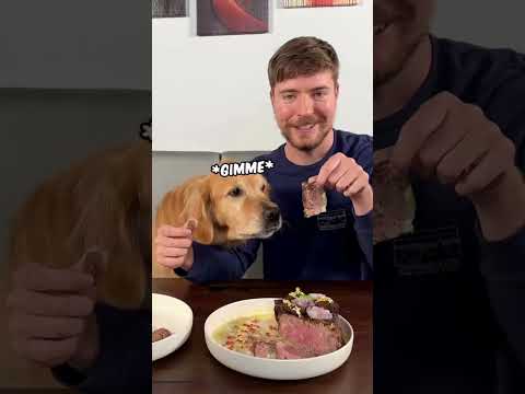 MrBeast $10,000 Steak For Dog