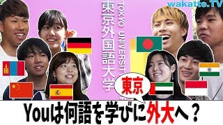 東京外国語大学キャンパス調査！Youは何語を学びに外大へ?  【wakatte.TV】#264