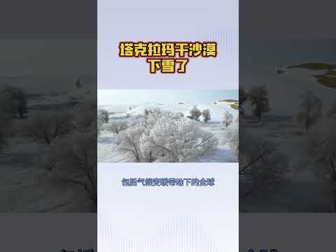 塔克拉玛干沙漠下雪了#塔克拉玛干沙漠 #沙漠变绿洲 #新疆沙漠 #防沙治沙