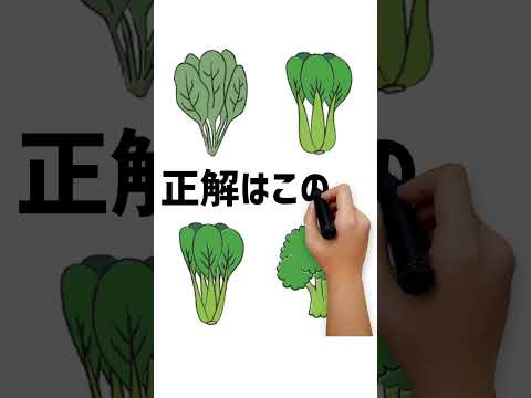 どの野菜が見えましたか？#動体視力テスト #動体視力検査