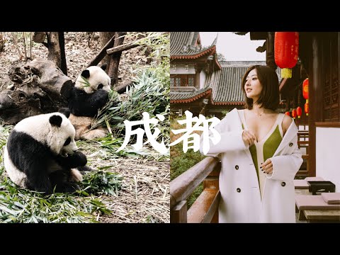 成都VLOG｜来了一趟成都，我爱上了川菜！