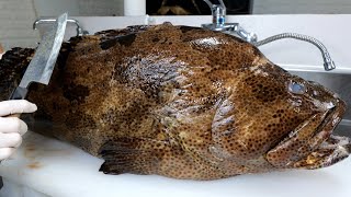 Forbidden Taste! Eating Poisonous Grouper That's Illegal to Sell