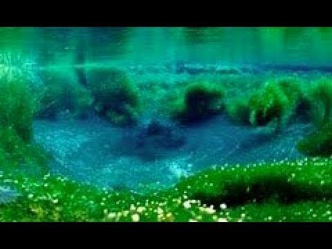 【ヒーリング】洞窟を流れる川【睡眠・瞑想・集中力の維持・α波】（Healing of a natural sound.The river which flows through a cave.）