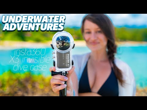 Underwater Adventures in Hawaii with the Insta360 X3 Invisible Dive Case! 🦈