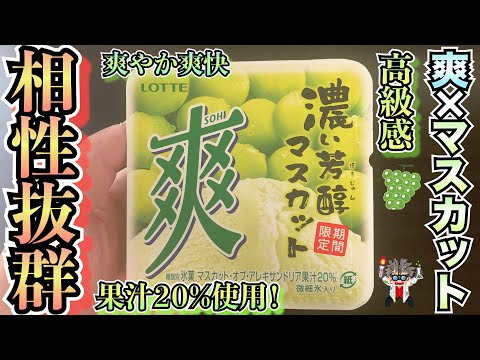 【新発売】爽とマスカットの相性が抜群！果汁を贅沢に20％しており、値段は安いが、高級感が感じられるアイスをぜひ食べてほしい！！【アイス】