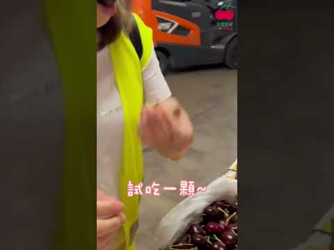 【產地直擊】現場開箱給你看-頂級空運華盛頓櫻桃