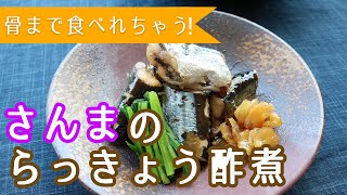 【さんま】のらっきょう酢煮（下処理でもっとおいしく）